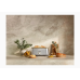 BTA740BSS2IAN1 Breville the Toast Select Luxe 4 Slice Long Slot Toaster - Brushed Stainless Steel 